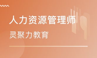 武漢人力資源管理師一級(jí)培訓(xùn)班 職業(yè)躍升的專(zhuān)業(yè)指南與教育咨詢服務(wù)
